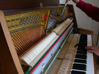 Accordatura